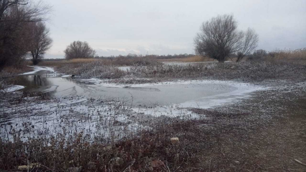 Зимний-заход-воды-в-ерики.jpg